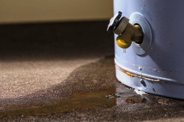 Best Basement water damage restoration  in Danielson, CT