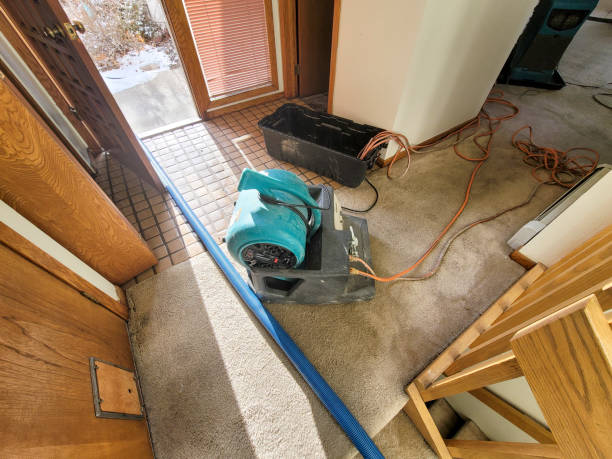 Best Water damage restoration near me  in Danielson, CT