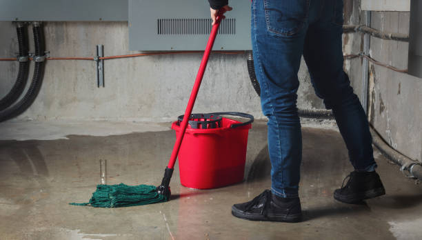 Best Water damage restoration mold remediation  in Danielson, CT