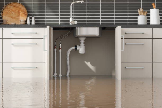 Best Water damage cleanup near me  in Danielson, CT